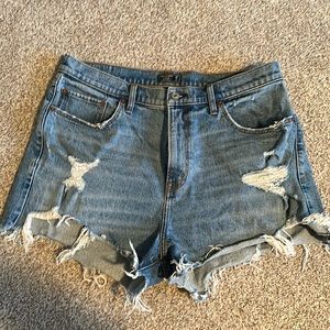 Abercrombie & Fitch High Rise Mom Shorts - Curve Love